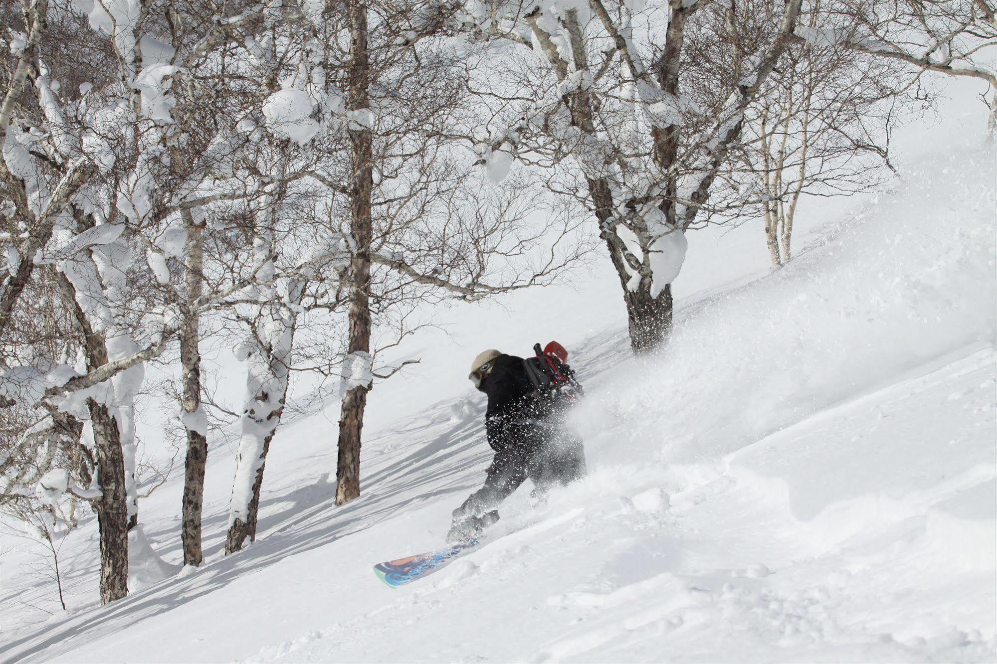 Niseko Grand Hotel Exteriör bild